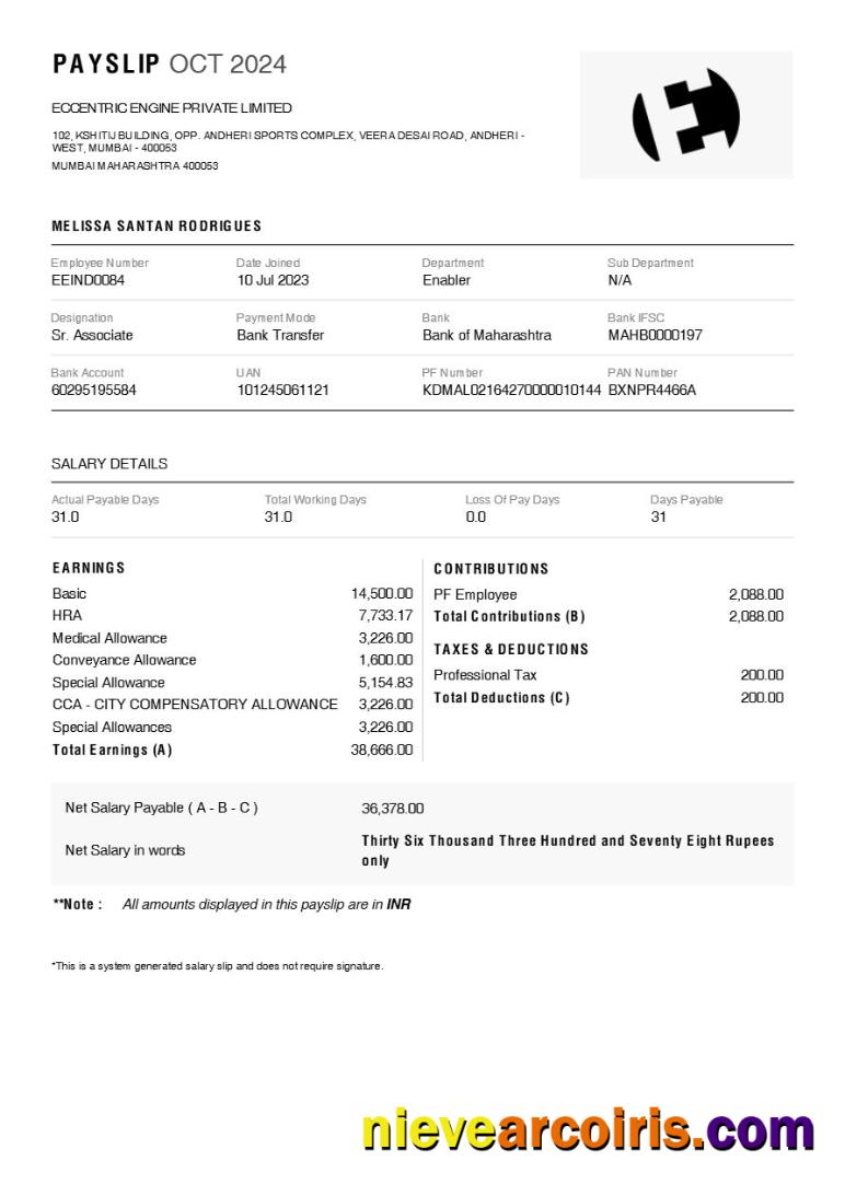 Eccentric Engine payslip